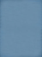 Urban Outdoor Rug Blue | 1000