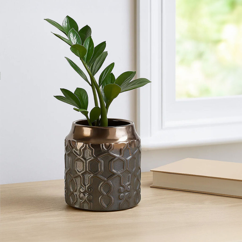 Decorative plant pot with a textured design on a wooden surface near a window.