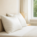 Brightr® Anti-Ageing Copper-Infused Eucalyptus Silk Pillowcase