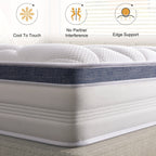 22/25cm Medium - Firm Memory Foam Hybrid Mattress - MOOAZAA