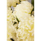 White Chrysanthemum Flower Stem | Fiori Artificial flowers