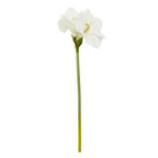 Ivory Amaryllis Flower Stem | Fiori Artificial flowers