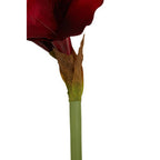 Burgundy Amaryllis Flower Stem | Fiori Artificial flowers