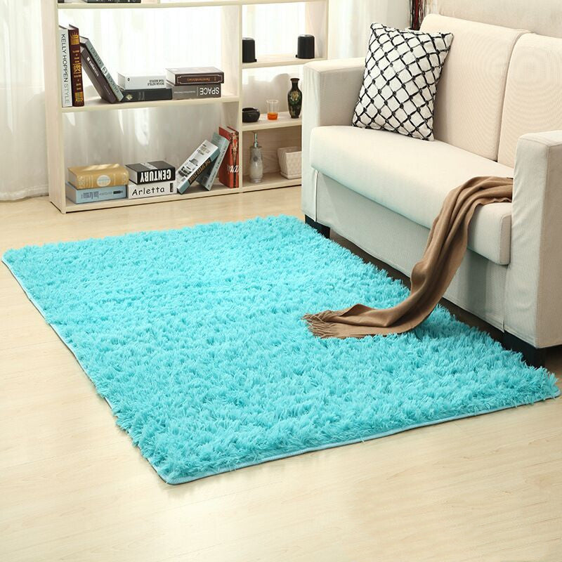 Turquoise rug in a living room with a white sofa and bookshelf.