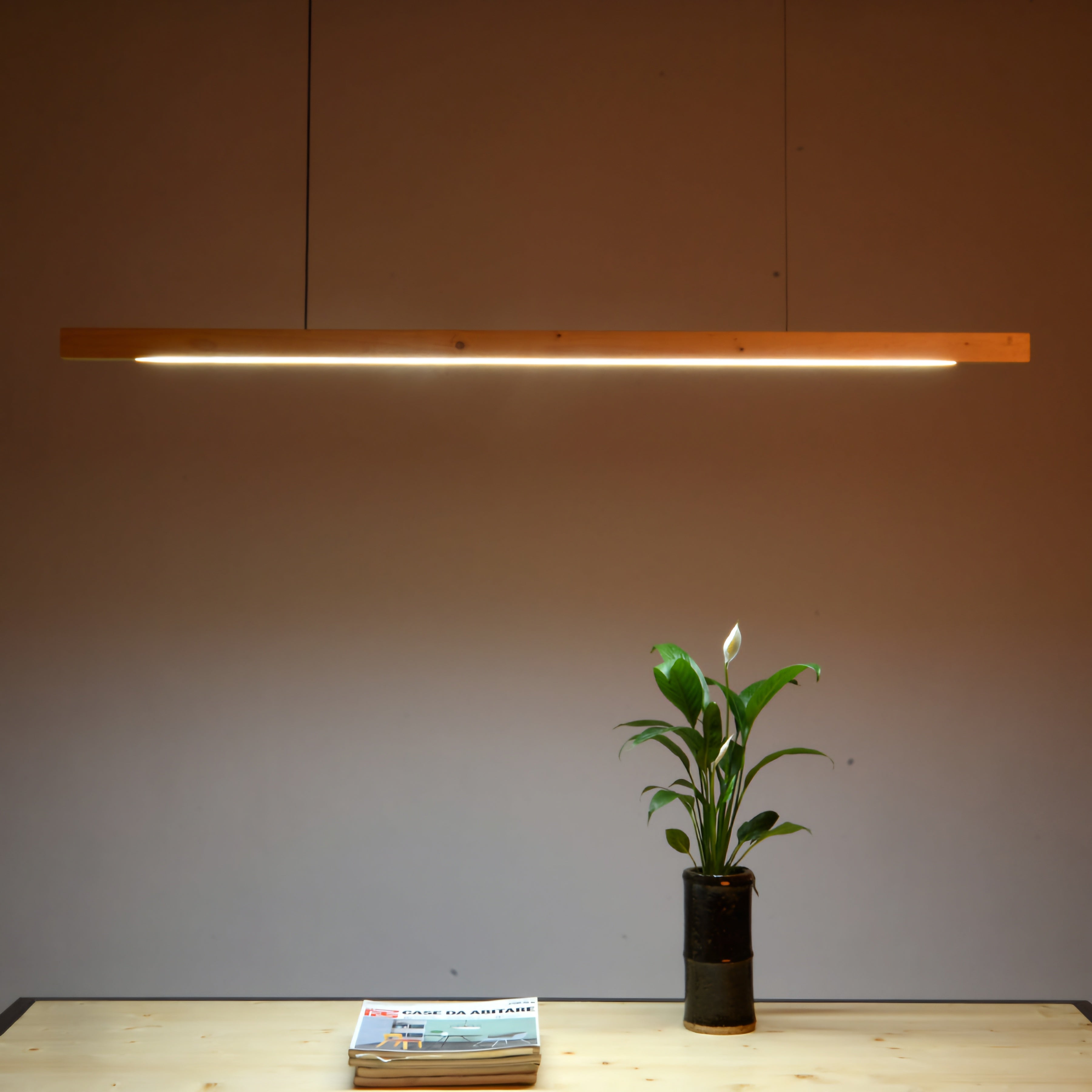 Modern pendant light fixture on a neutral wall with a plant and books on a table below.