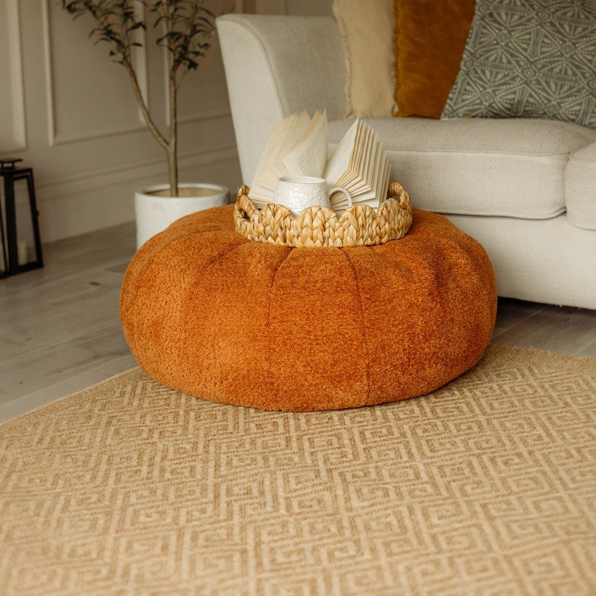 Nature Outdoor Rug Neutral | 5100N