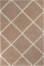Moroccan Beige Shaggy Rug | 520