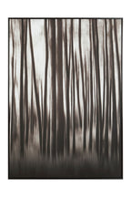 Astratto Black and Natural Abstract Blur Wall Art
