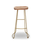 Nandri Natural Acacia Wood and Antique Brass Finish Bar Stool