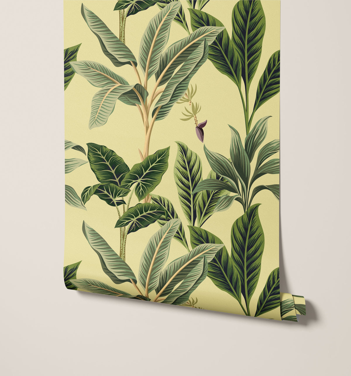 Flora