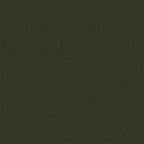 Solid dark green color swatch