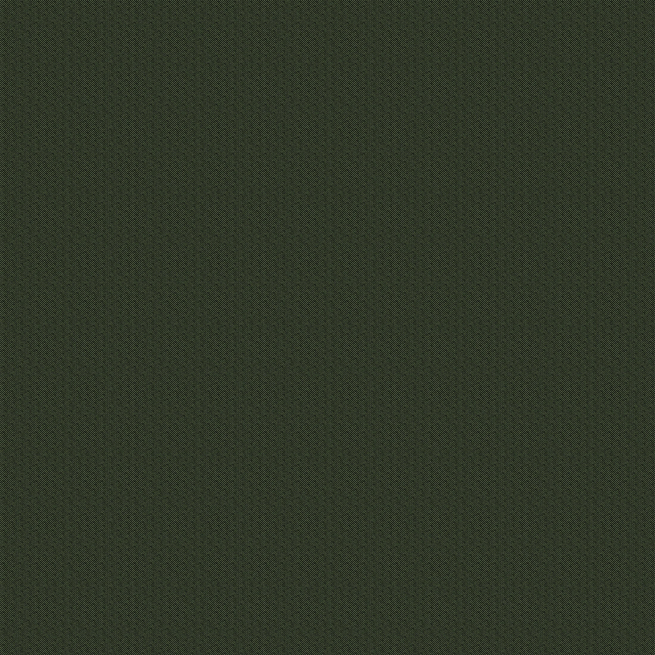 Solid dark green color swatch
