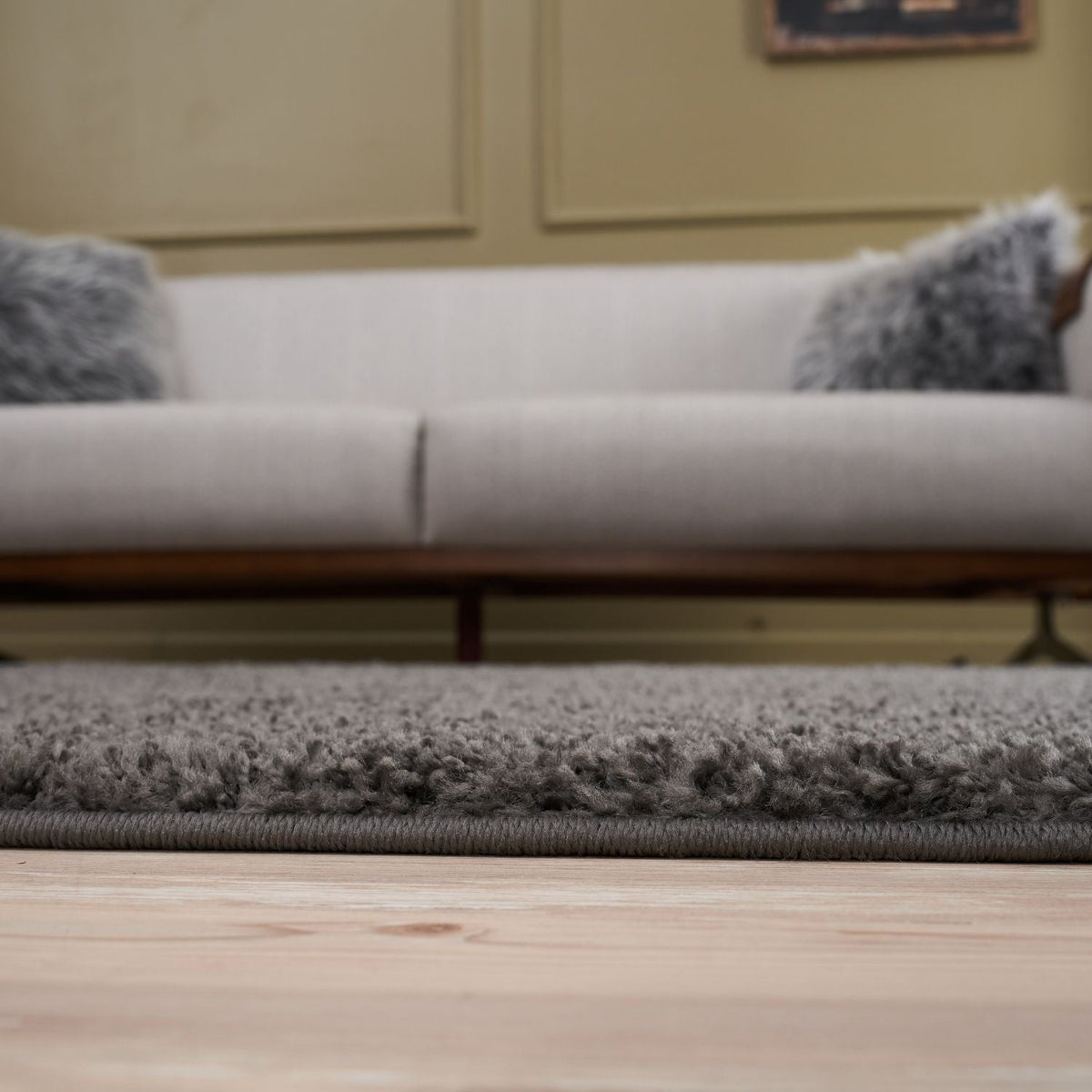 Myshaggy Solid Dark Grey Rug
