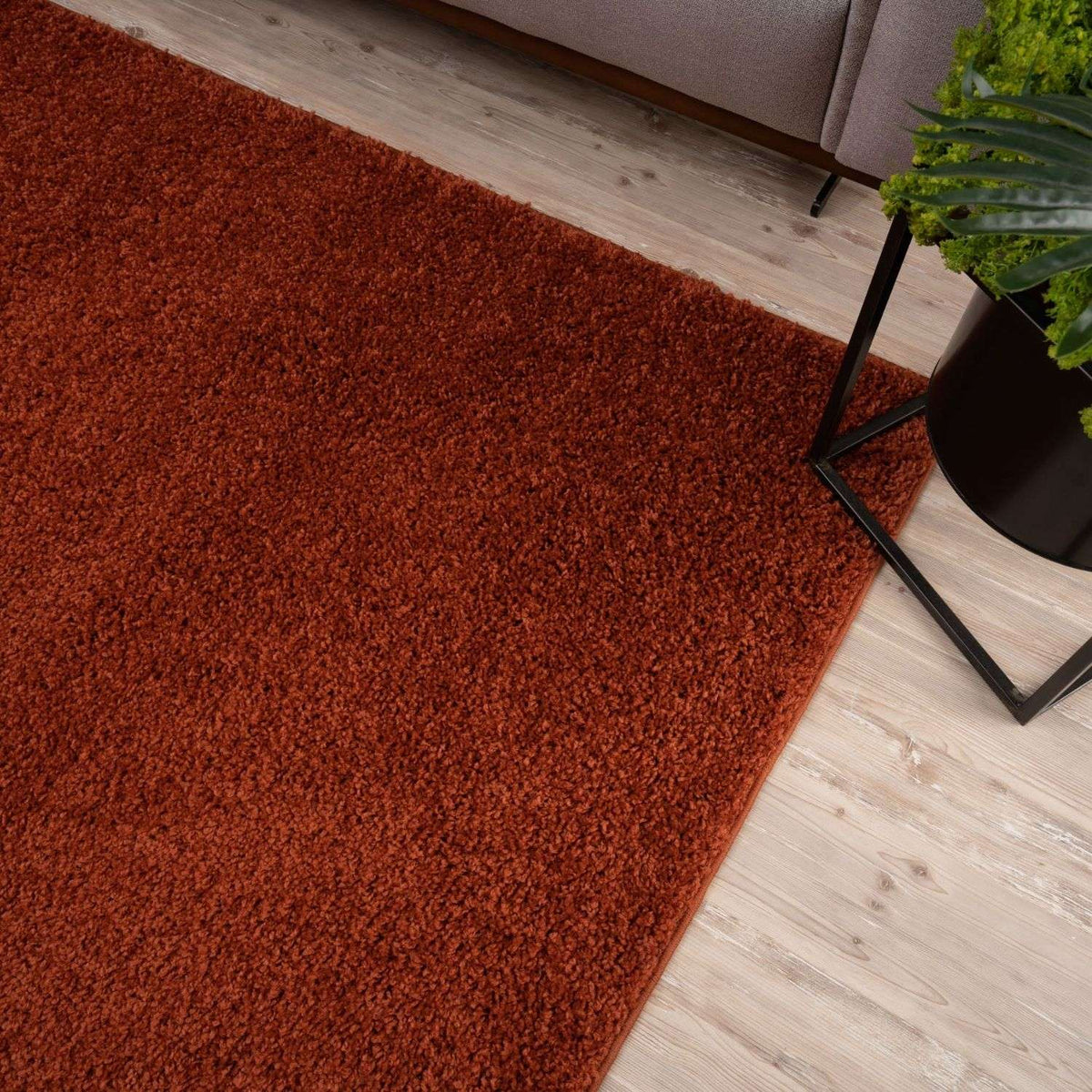 Myshaggy Solid Terra Rug
