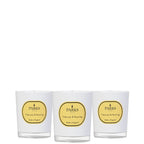 Three white candles with yellow 'Parks' labels on a white background