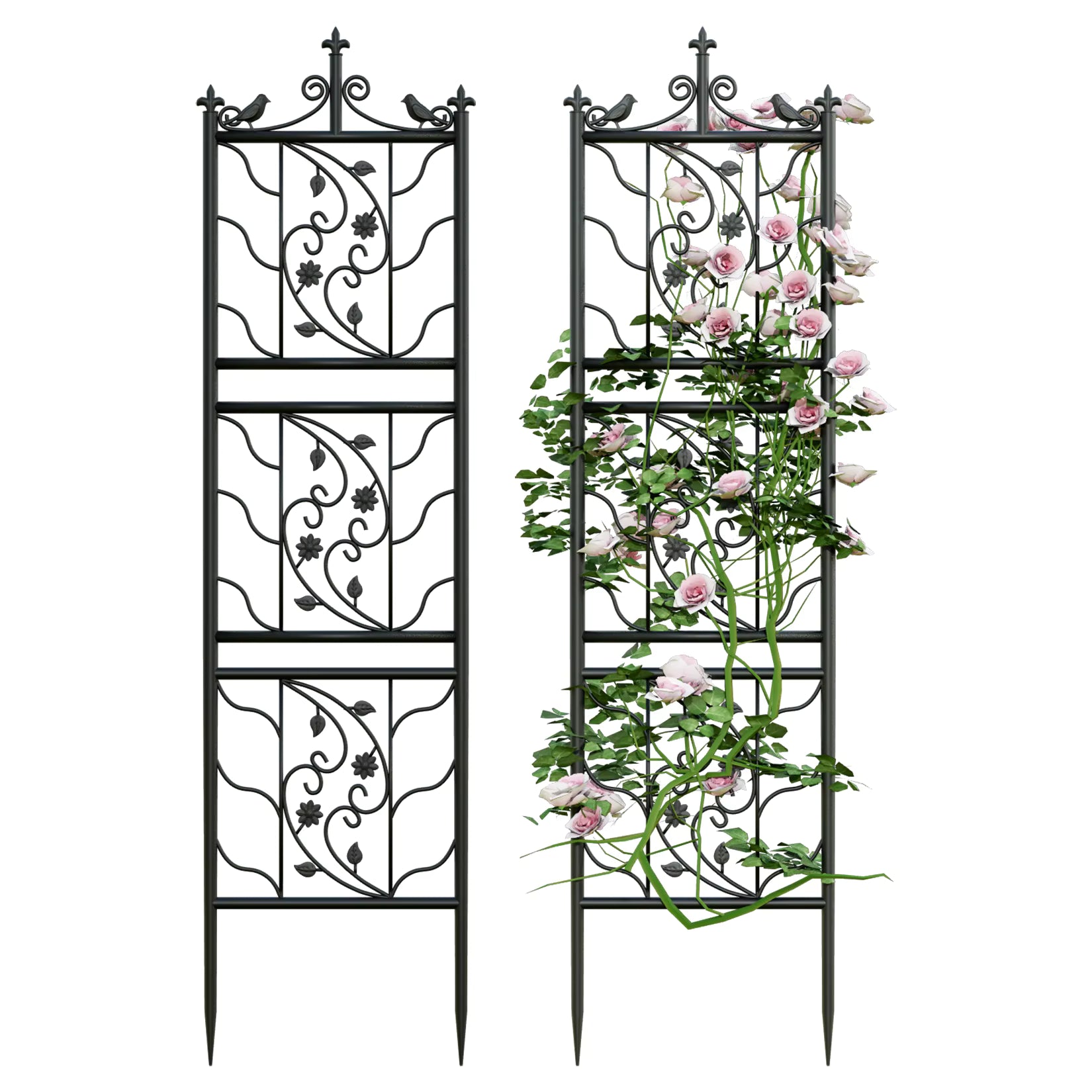 Decorative metal trellis with floral climbing plants on a white background