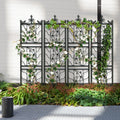 Decorative metal trellis with climbing plants against a white wall