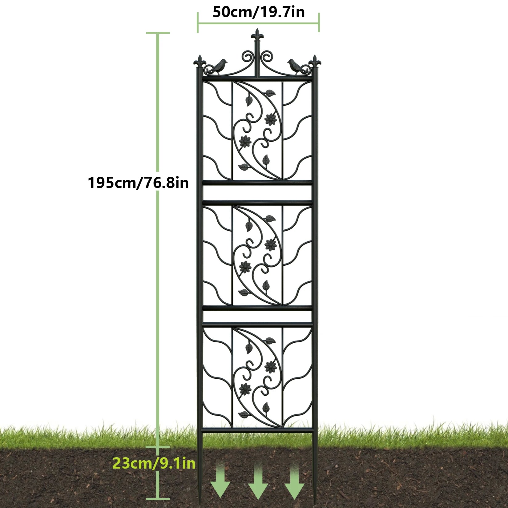 Decorative metal garden trellis with dimensions on a white background