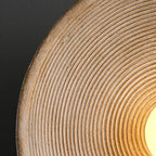 Close-up of a wooden surface with concentric circular patterns