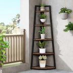 Corner ladder shelf with potted plants in a room with a window and balcony.