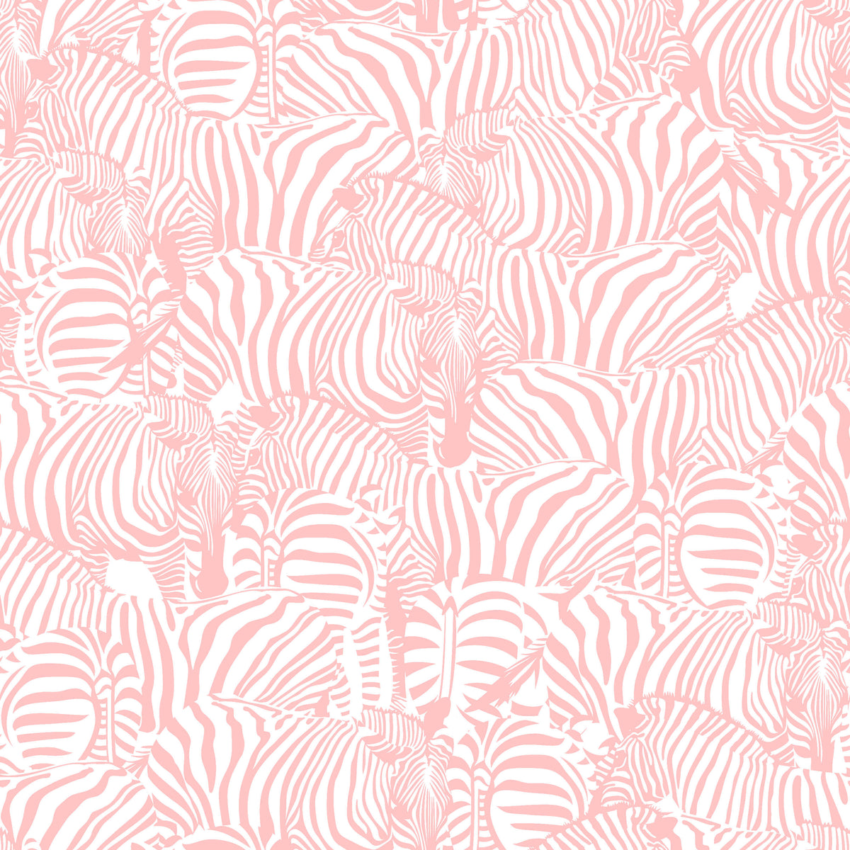 Zolta