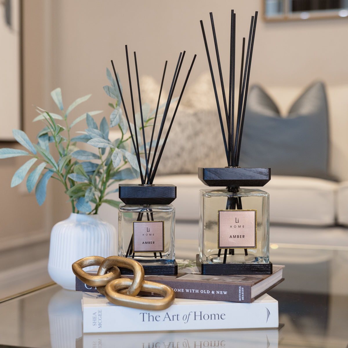 Two diffusers on books with a plant and decorative items on a coffee table in a living room.