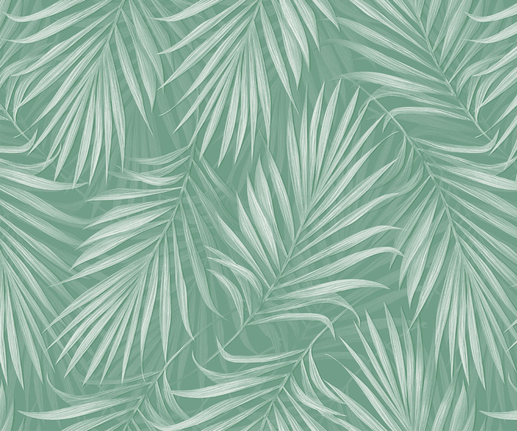 Areca - MOOAZAA