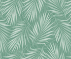 Areca - MOOAZAA