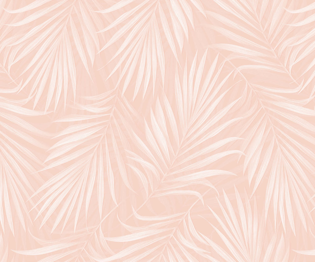 Areca - MOOAZAA