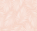 Areca - MOOAZAA