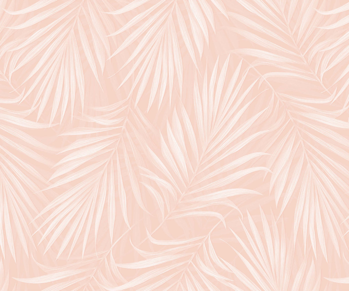Areca - MOOAZAA