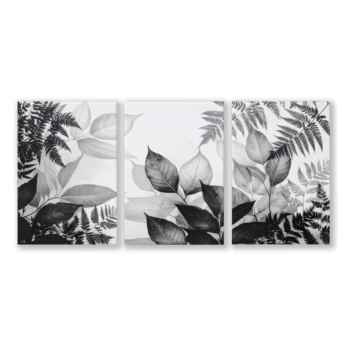 Art In Frames | Set of 3 Botanical Wall art Prints