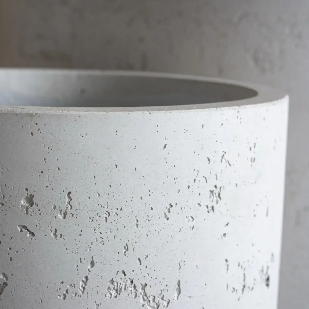 Close-up of a textured concrete planter against a neutral background
