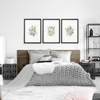 Botanicals Posters | Set of 3 wall art prints