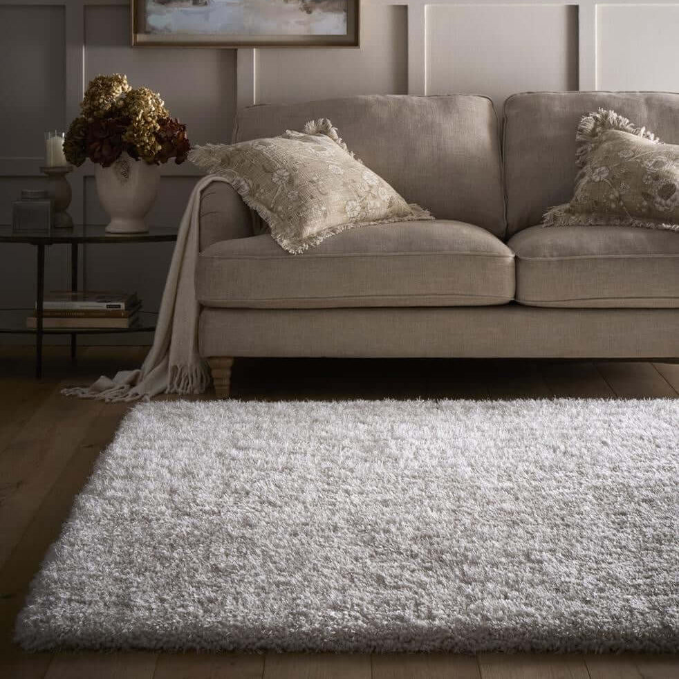 Gray sofa with decorative pillows and a rug in a living room setting.