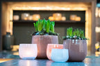 The Mouthblown Glass POT Collection - by DutZ