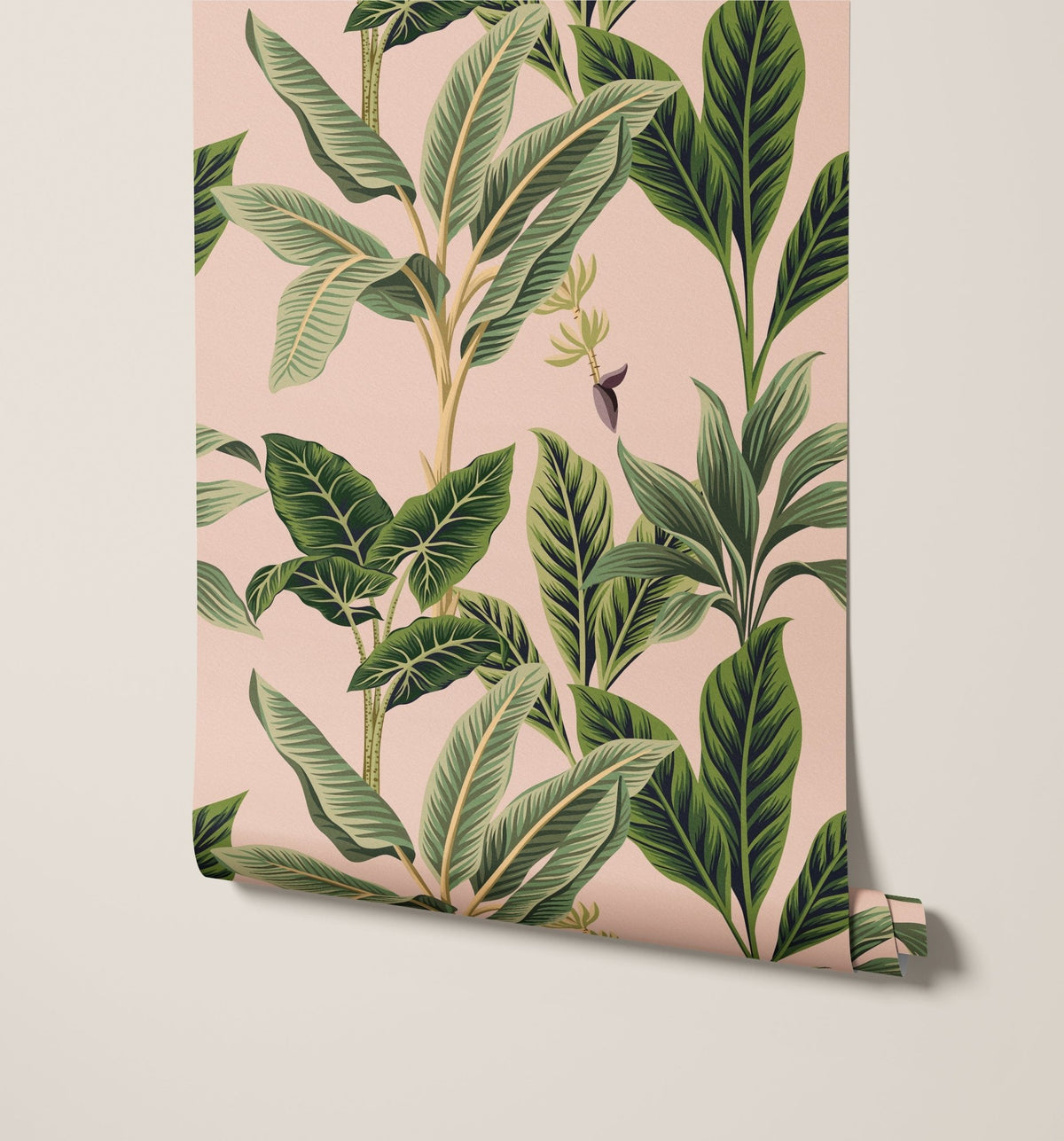 Flora - MOOAZAA