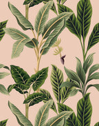 Flora - MOOAZAA