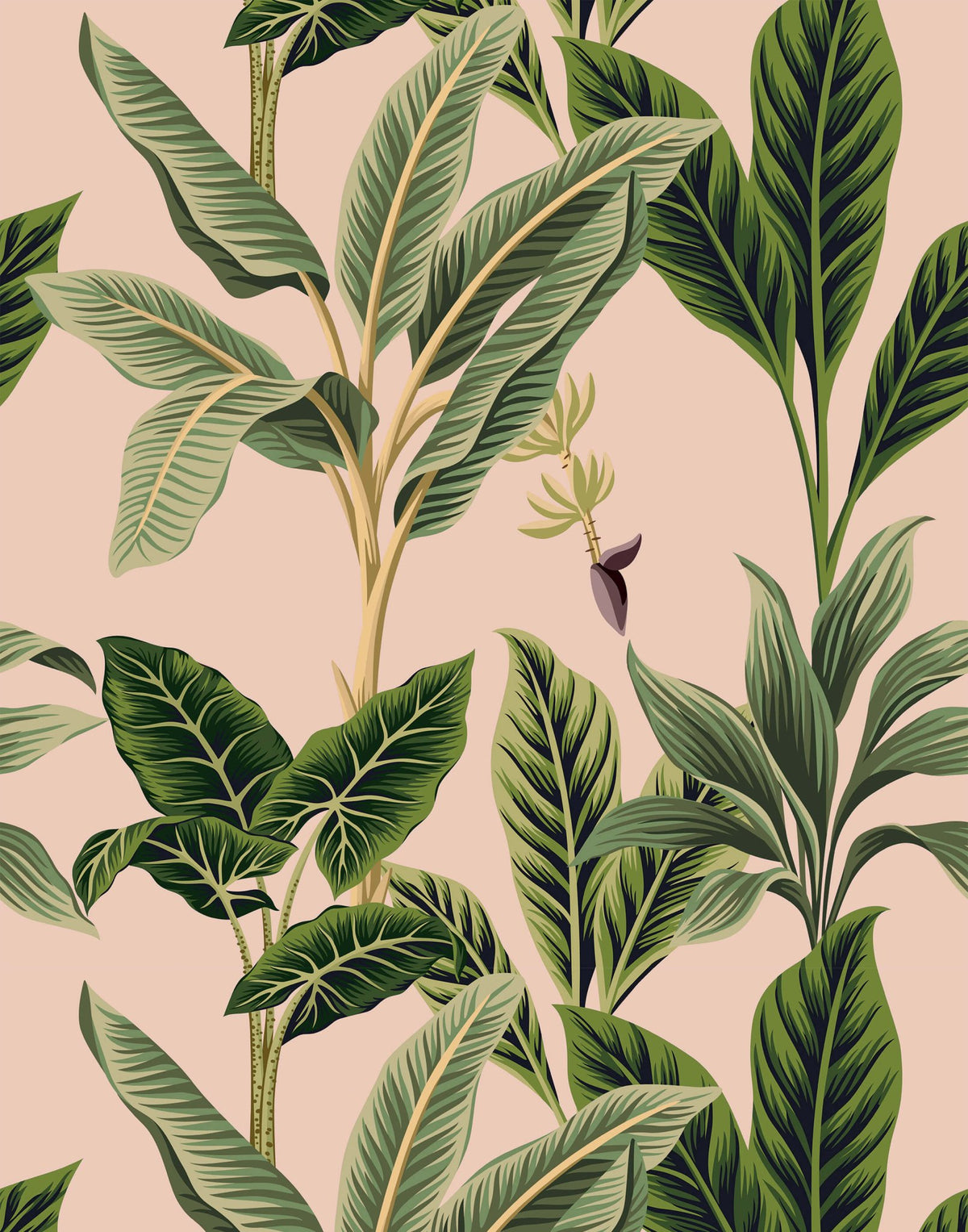 Flora - MOOAZAA