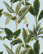 Flora - MOOAZAA