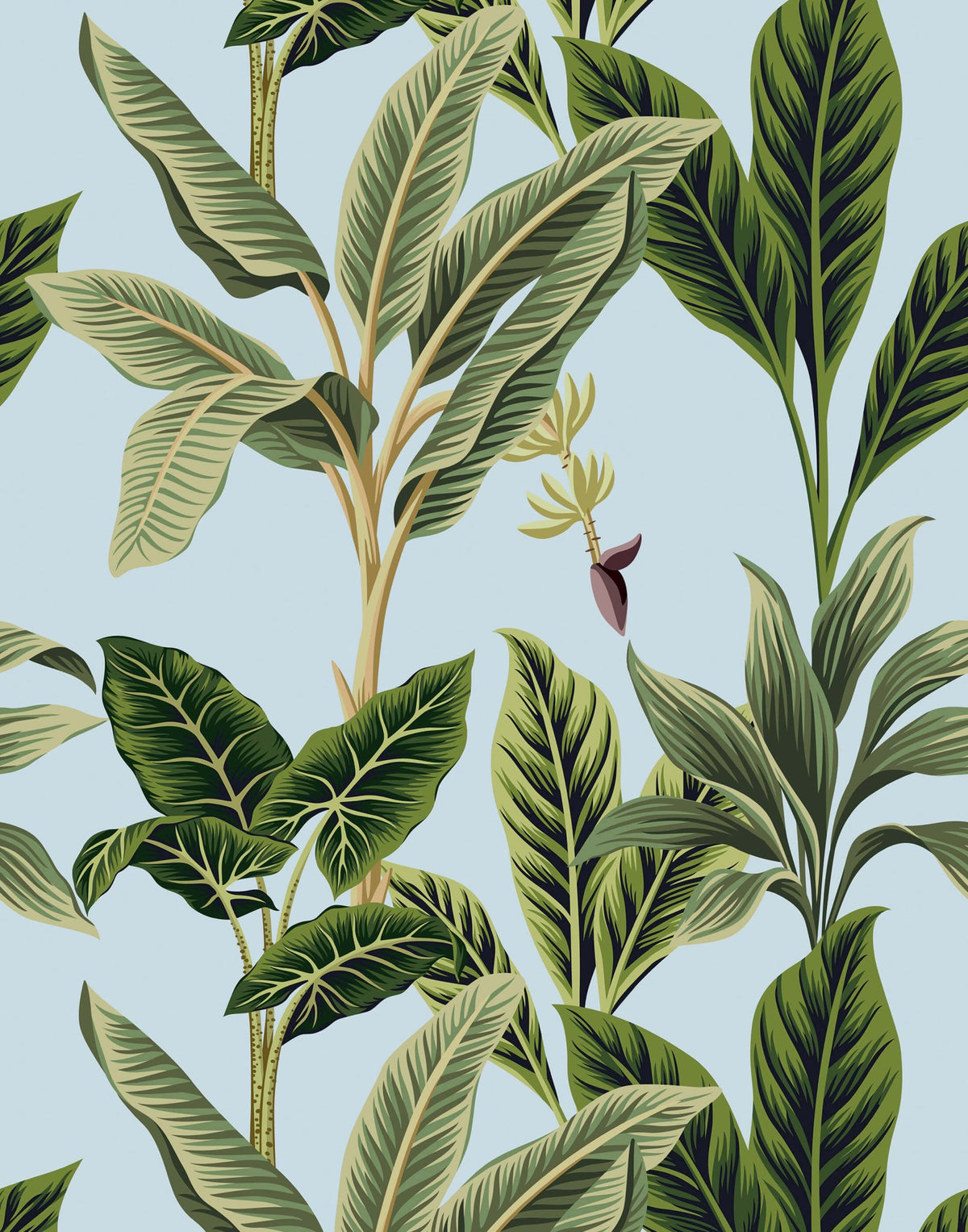 Flora - MOOAZAA