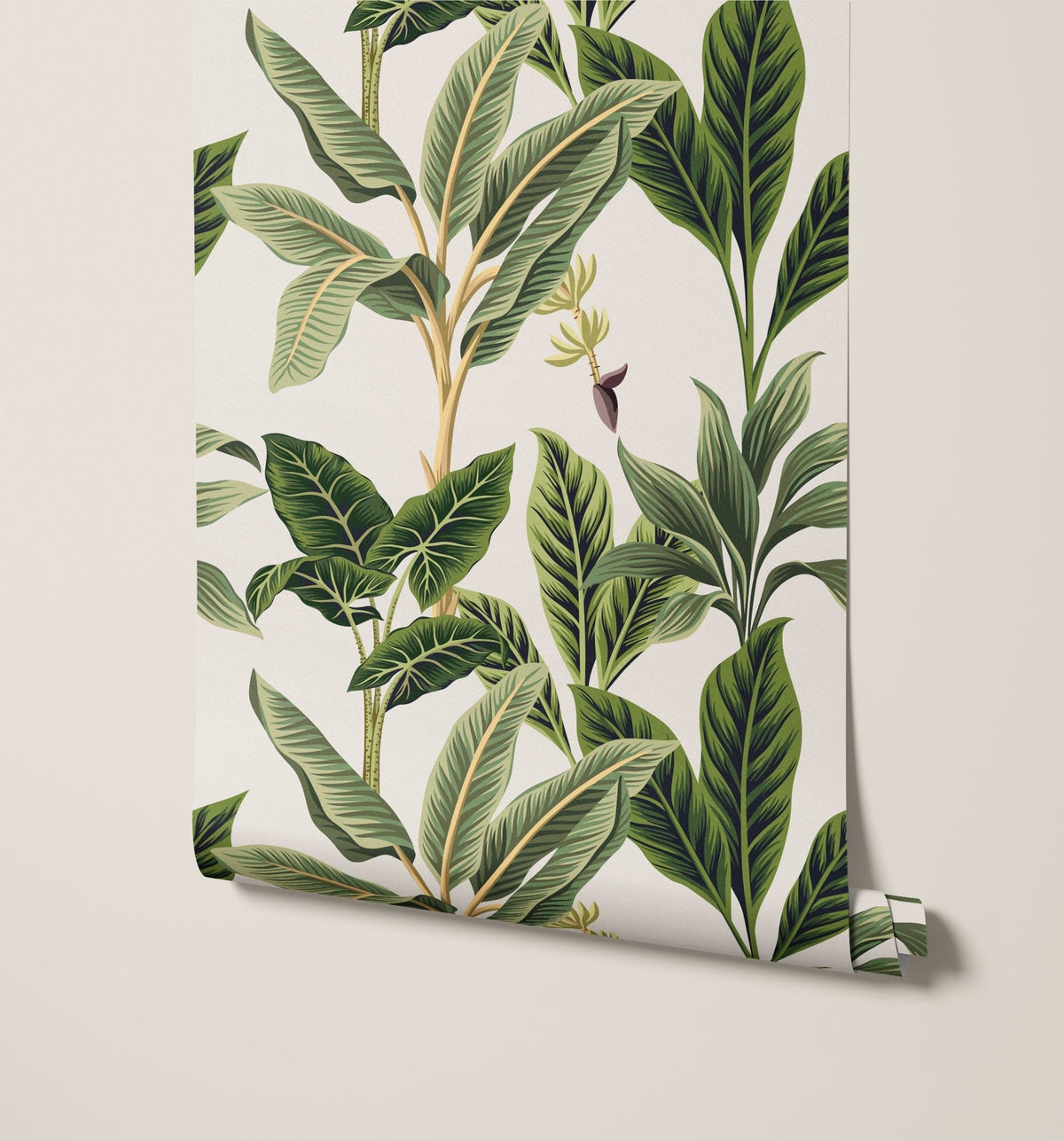 Flora - MOOAZAA