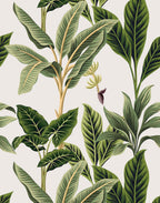 Flora - MOOAZAA