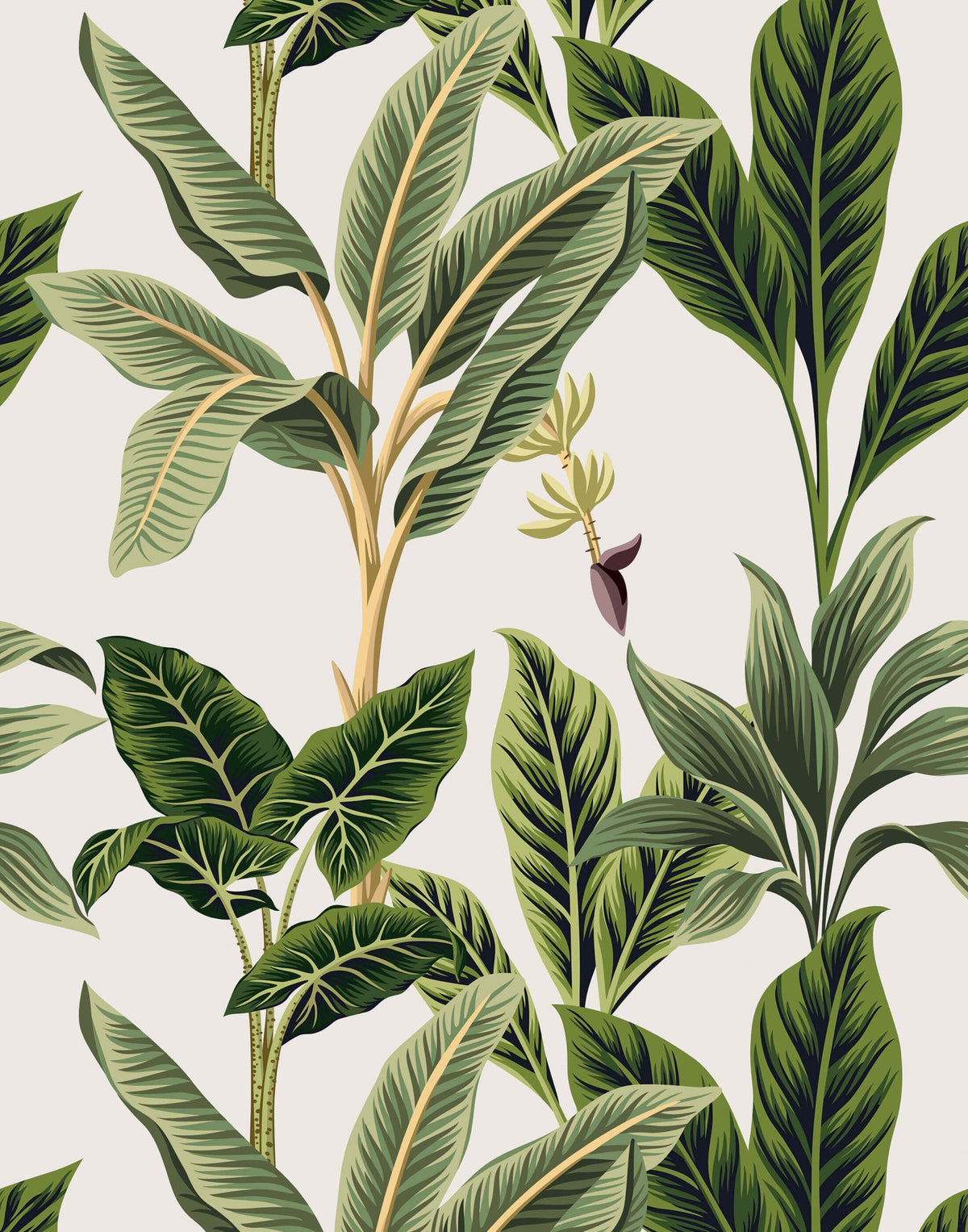 Flora - MOOAZAA