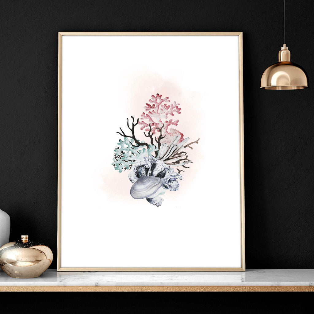 Coastal Prints Set of 3 | Framed Seashell Wall Art