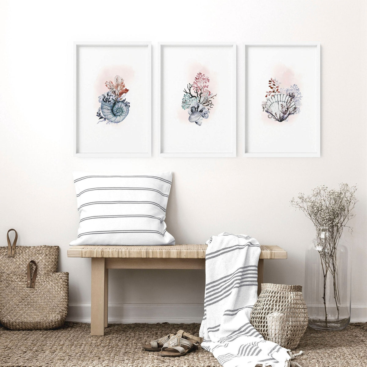Coastal Prints Set of 3 | Framed Seashell Wall Art
