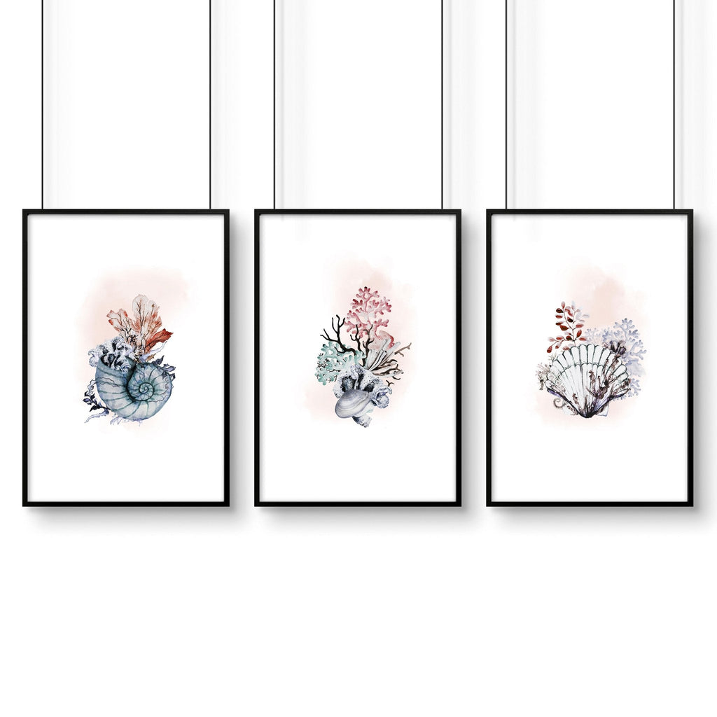 Coastal Prints Set of 3 | Framed Seashell Wall Art
