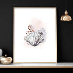 Coastal Prints Set of 3 | Framed Seashell Wall Art