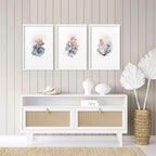 Coastal Prints Set of 3 | Framed Seashell Wall Art