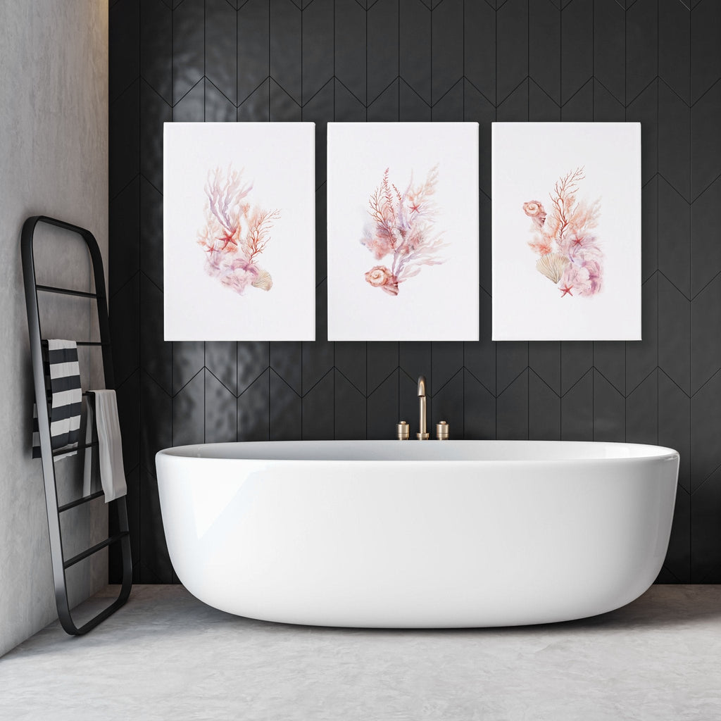 Framed Pictures For The Bathroom | Set of 3 Seashells Wall art Prints